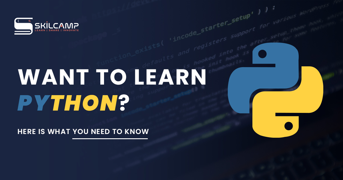 Want to Learn Python? Here is What You Need To Know